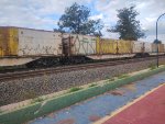 ELBR FTT-032425-6